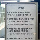 더캐시미어;래트바이티