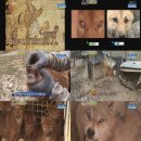 민화농장 이미지