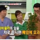 건강지기
