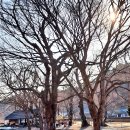 보덕사극락보전 이미지