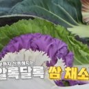 범석농장2 이미지