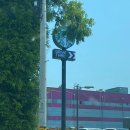 스타벅스군산수송DT점 이미지