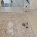 남화루 | 25년 8월 일상