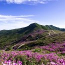 산청하루 이미지