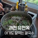 문원로 | 과천 유천옥 : 24개월 아이와 식사 가능한 칼국수 맛집