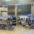 365 PC Zone | 인천-호놀룰루 하와이안항공 엑스트라컴포트 vs 이코노미 비교