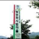 피나무골 소공원 Daum카페