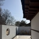 [강원/춘천] 애견동반숙소 추천,자쿠지가 있는 금산다락 1박 2일