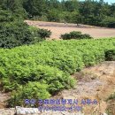 신안천사공인중개사사무소 이미지