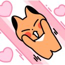 조은미트 이미지