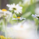 오학 걷고싶은거리 이미지