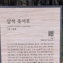 해파랑길 32코스 [맹방 해수욕장&amp;이사부 우산국 복속 출항지 기념비&amp;실직군왕비릉&amp;죽서루&amp;장미공원&amp;삼척항 지진해일 안전타워] (1/3) 이미지