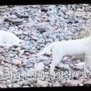 펜션굿타임 이미지