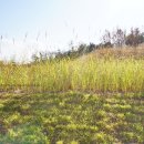 탱크카페 이미지