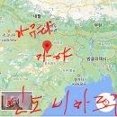 (주)강아유 이미지