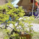 샛별글램핑 이미지