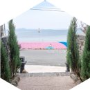 바라보다 - 완도군 | 포항 [바라보다 풀빌라 101호] 오션뷰 숙소 후기