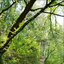 대장금마실길(4코스) 이미지