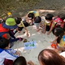 별샘어린이집 이미지