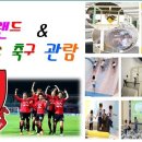 왕호종합체육관 이미지