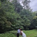 대덕대로-12 | 대전 웨딩촬영 후기 [다니앤제이] &lt;감자&#39;s review&gt;