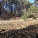 운수1리 마을회관 이미지