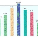 블루베리 텃밭가꾸기 이미지