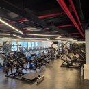 오늘다짐PT 이미지