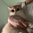 양희농장 이미지