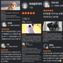 온새코키아치과병원 | 수원강아지건강검진, 받기 전 3가지 체크리스트 (대형병원 출신 의료진의 조언)