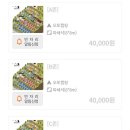 B12-1 | 느루캠핑장 +애견동반가능