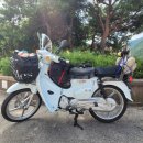 동갈보대 | 240811 강원도 고성여행 (feat.슈퍼커브 텐덤 장거리 라이딩, 삼포해변)