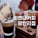 오션주차&세차타운 | 광안리 애견동반 카페 l 탁트인 오션뷰 맛집 비엔나커피 광안리점 솔직후기