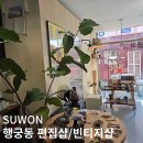 아이엠 | 행궁동 편집샵 콜하그 달마시안 빈티지 아이엠샵 솔직후기