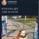 만나 - 2178 | 만나