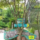 아버지의숲산정캠프 이미지