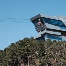 장호초등학교 이미지