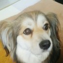 청평옆집언니 이미지