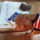 우리축산약품 이미지