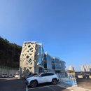 선암공원 | 울산 선암호수공원 벚꽃뷰 대형카페 [쏠레이] 내돈내산 후기