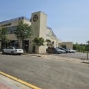 섬댕 강아지 미용실 이미지