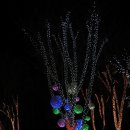 별빛랜드 이미지