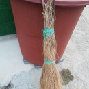 댑싸리의 기억 이미지