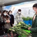 블루향기 이미지