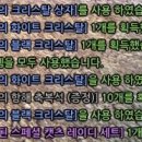 티티피시방 이미지