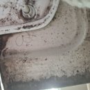 호려울마을8단지정문 | 호려울마을 8단지에 세종시 이사청소를 다녀온 [우리집홈케어]