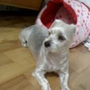 강동-천호-2792 이미지