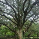 산타루치아 펜션 이미지