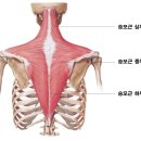 영짐(YOUNG GYM) 이미지