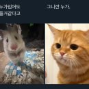 루비 님 새해 복 많이 받으세요 이미지